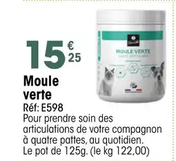Croque Gel Moule verte offre