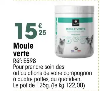Croque Gel Moule verte offre