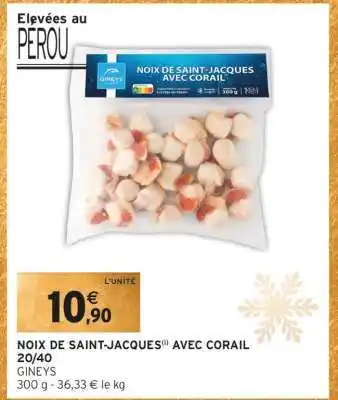 Noix de Saint-Jacques avec Corail