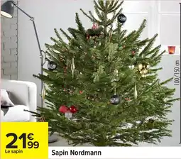Carrefour Sapin nordmann offre
