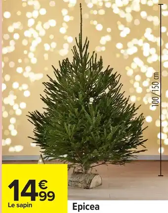 Carrefour Epicea offre