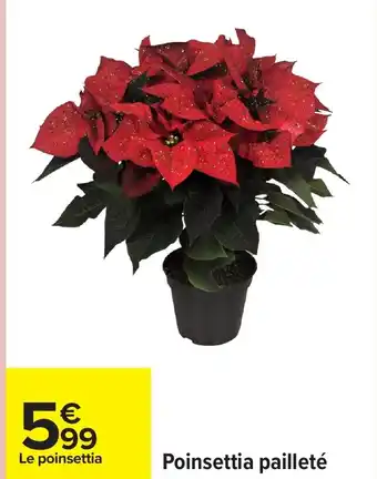 Carrefour Poinsettia pailleté offre
