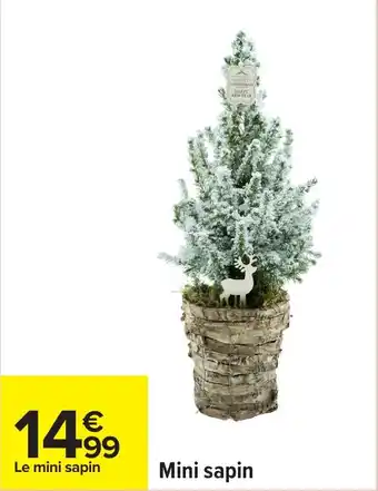 Carrefour Mini sapin offre