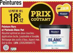 Bricorama Peinture Murs et Plafonds Blanc Mat offre