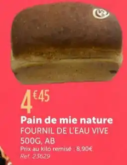 L'Eau Vive FOURNIL DE L'EAU VIVE Pain de mie nature offre