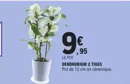 E.Leclerc Express Dendrobium 2 tiges offre