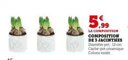 Hyper U Composition de 3 jacinthes offre