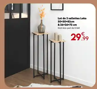 Maxi Bazar Lot de 2 sellettes loka offre