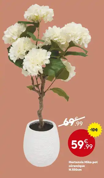 Maxi Bazar Hortensia mika pot céramique offre