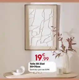 Maxi Bazar Toile 3d ziad offre