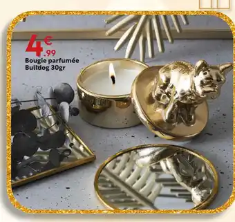 Maxi Bazar Bougie parfumée bulldog 30gr offre