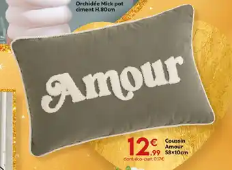 Maxi Bazar Coussin amour offre
