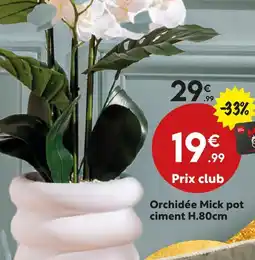 Maxi Bazar Orchidée mick pot ciment offre