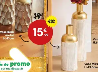Maxi Bazar Vase nelli offre