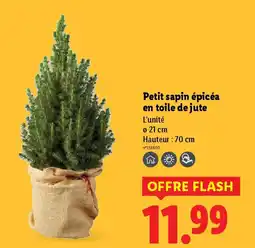 Lidl Petit sapin épicéa en toile de jute offre