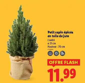 Lidl Petit sapin épicéa en toile de jute offre