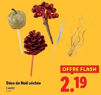 Lidl Déco de Noël séchée offre