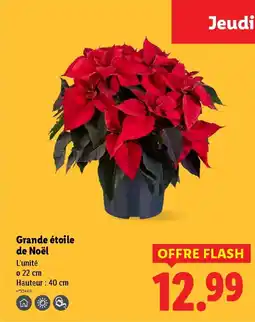 Lidl Grande étoile de Noël offre