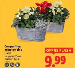 Lidl Composition en pot en zinc offre
