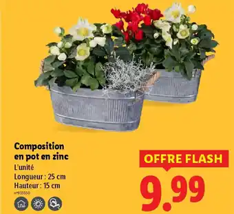 Lidl Composition en pot en zinc offre