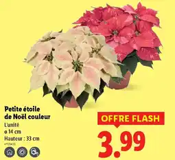 Lidl Petite étoile de Noël couleur offre