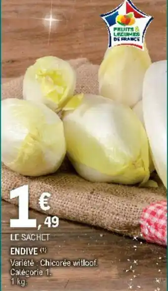 Endive