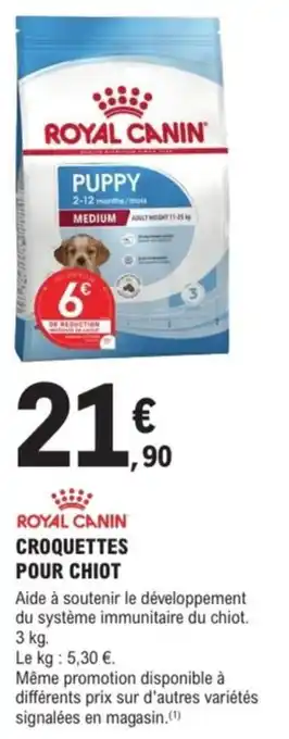 E.Leclerc Brico Royal canin croquettes pour chiot offre