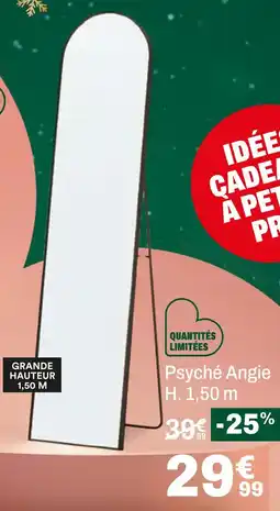BUT Psyché angie offre