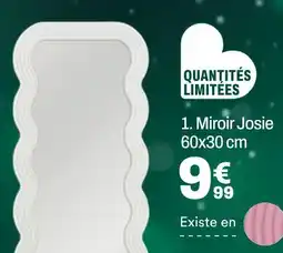 BUT Miroir josie 60x30 cm offre
