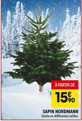 Supeco Sapin nordmann offre