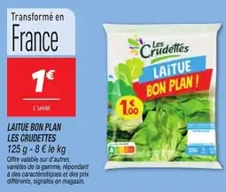 Netto Laitue bon plan les crudettes offre