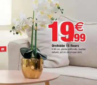Bazarland Orchidée 15 fleurs offre