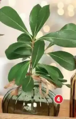 Bazarland Le vase en verre offre