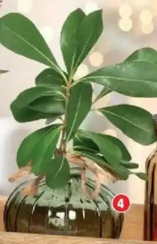 Bazarland Le vase en verre offre