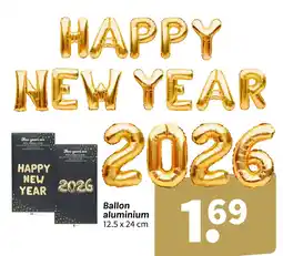 Wibra Ballon aluminium offre