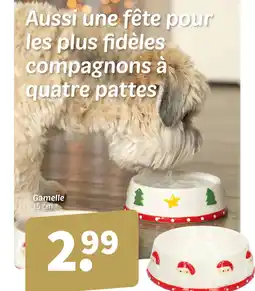 Wibra Gamelle 15 cm offre