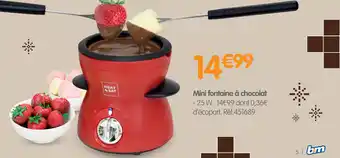 Irrijardin Mini fontaine à chocolat offre