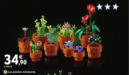 Intermarché Hyper Les plantes miniatures offre