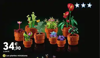 Intermarché Hyper Les plantes miniatures offre