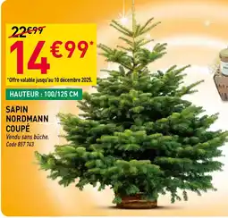 RAGT Jardin & Maison Sapin nordmann coupé offre