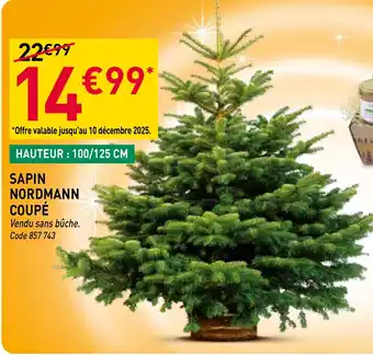 RAGT Jardin & Maison Sapin nordmann coupé offre