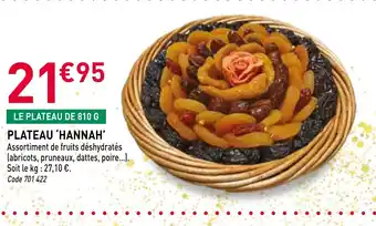 RAGT Jardin & Maison Plateau hannah offre