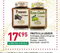 RAGT Jardin & Maison Fruits à la liqueur offre