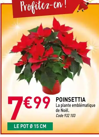 RAGT Jardin & Maison Poinsettia offre