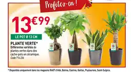 RAGT Jardin & Maison Plante verte offre