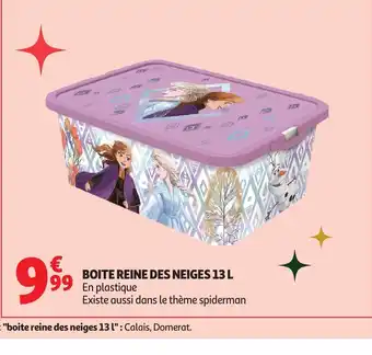 Auchan Boite reine des neiges offre