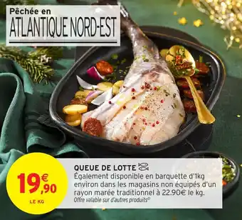 Queue de lotte