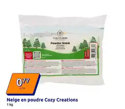 Action Neige en poudre cozy creations offre