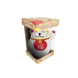 Carrefour Market Mon chat de la fortune antistress offre