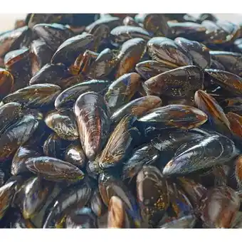 Carrefour Filiere qualite carf moules de bouchot filiere qualite carrefour offre
